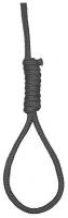 187px_Hangmans_Noose.jpg