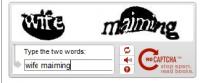 ReCaptcha_Fail.jpg