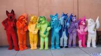 furry.jpg