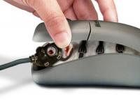 Mouse_in_Mouse.jpg