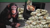 MonkeyComputerMoney.jpg