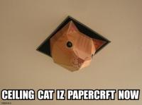 papercraft_ceiling_cat.jpg