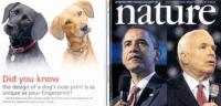 article_468x223.jpg