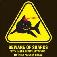sharks_with_laser_beams_w72pgv_d.jpg