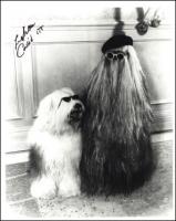 Cousin_itt.jpg