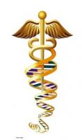 caduseus_DNA_2_compressed_.jpg
